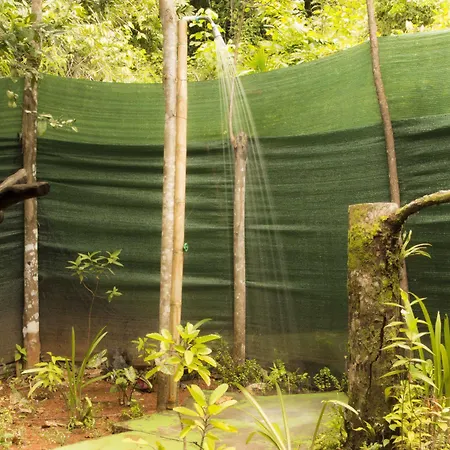 Isla Violin Eco-Lodge Exterior photo