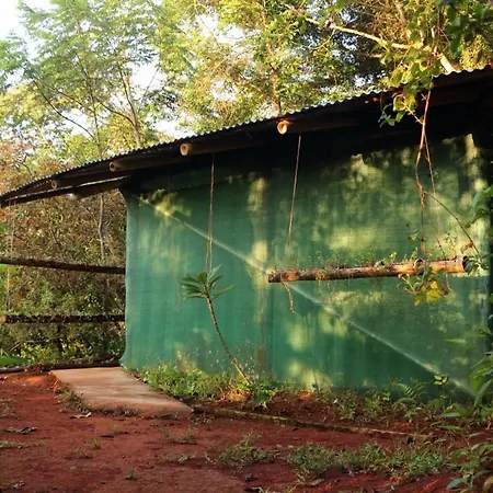 Isla Violin Eco-Lodge Exterior photo