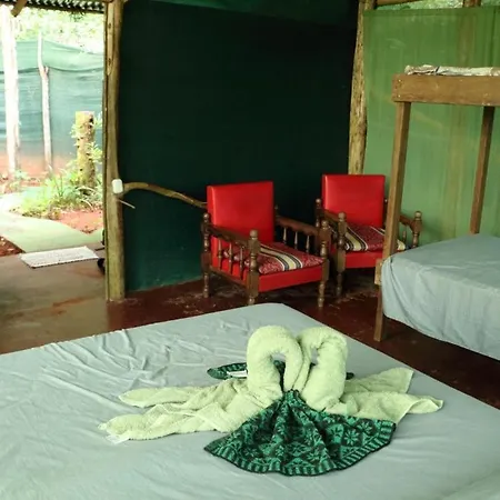 Isla Violin Eco-Lodge Exterior photo