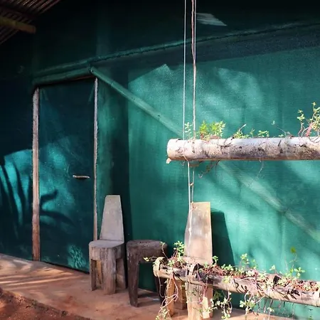 Isla Violin Eco-Lodge Exterior photo