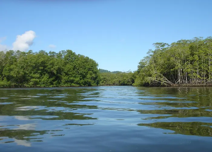 Isla Violin Eco-Lodge