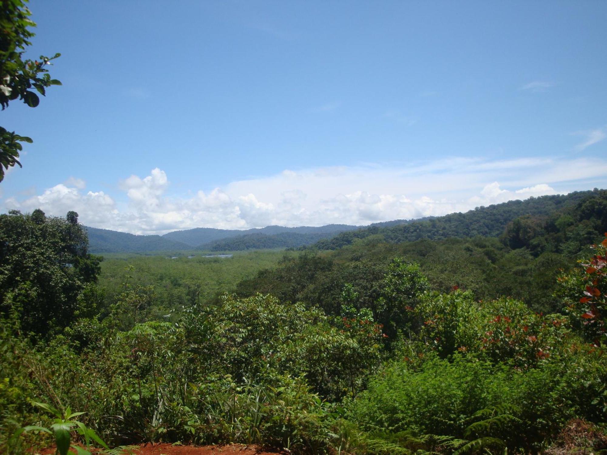 Eco-lodge Lodge *