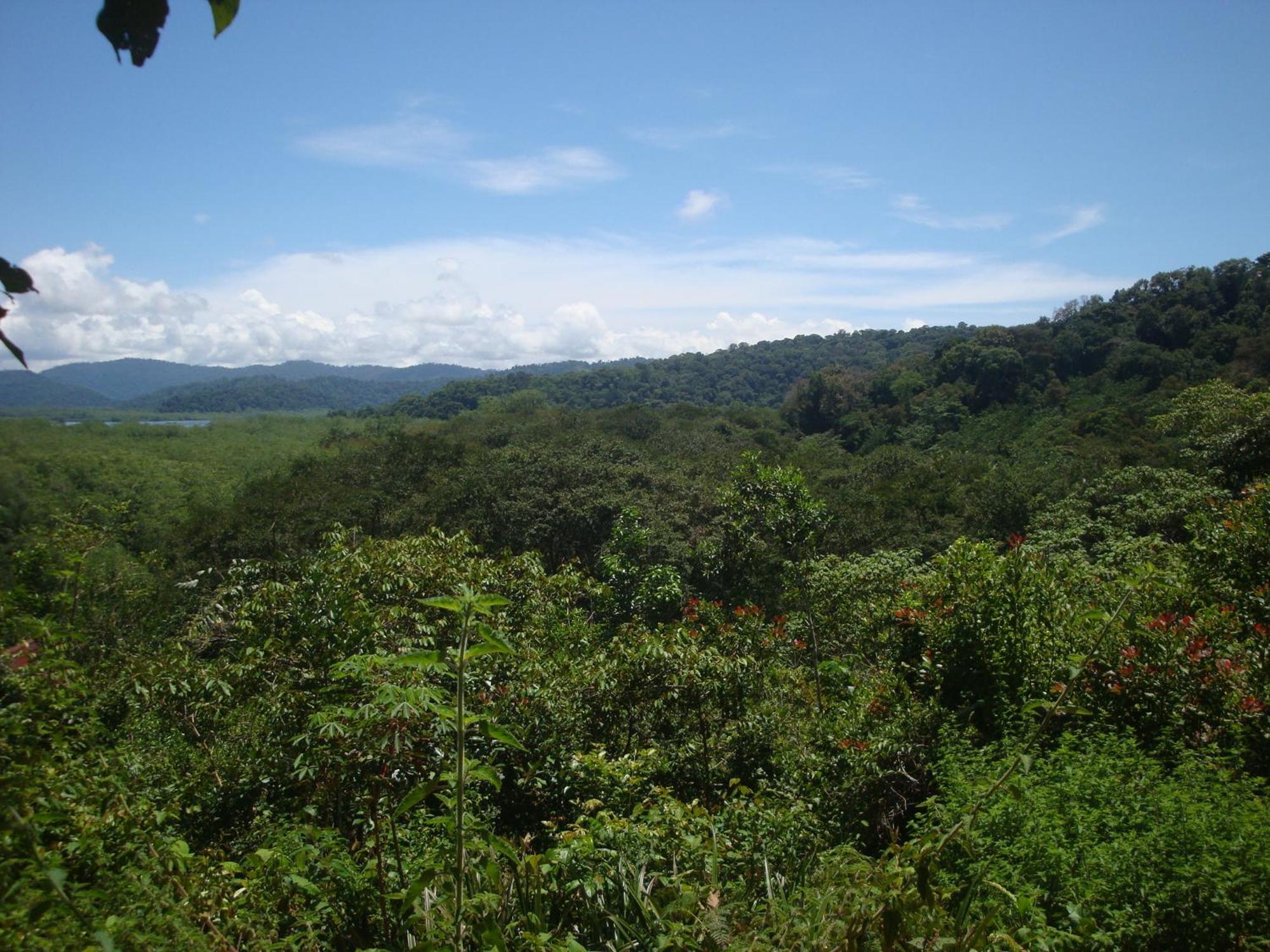 Eco-lodge Lodge *