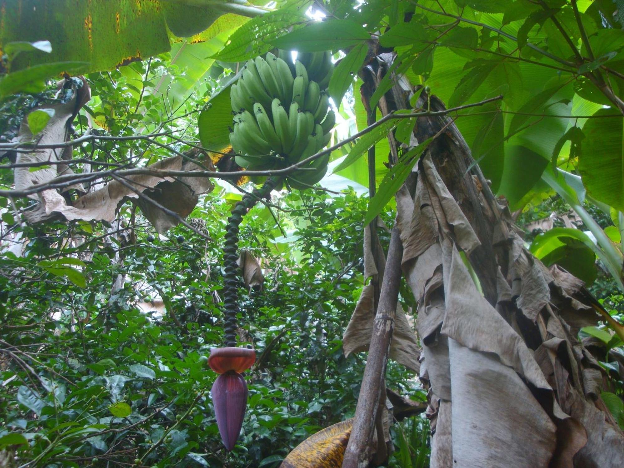 Lodge Eco-lodge *