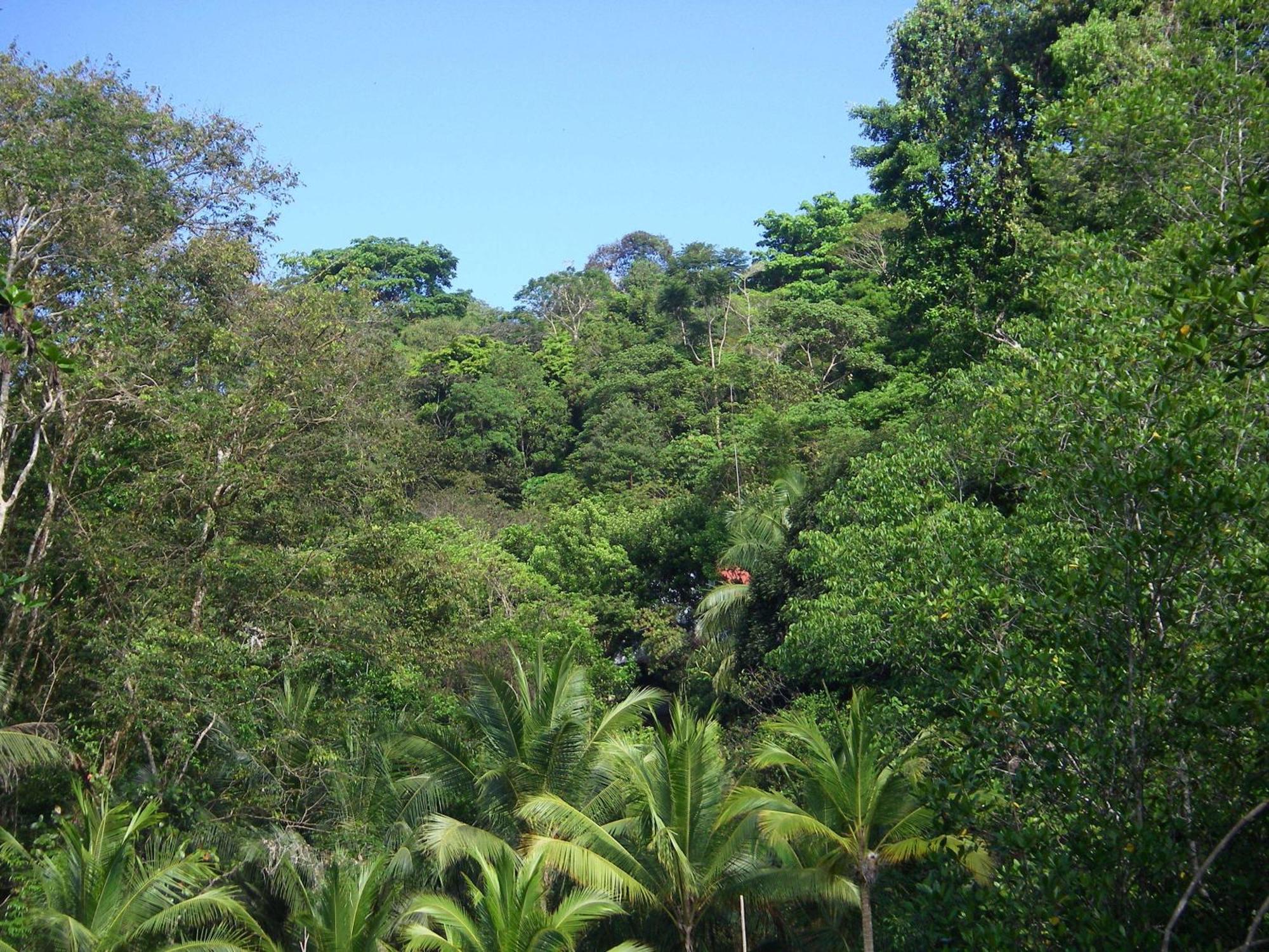 Eco-lodge Isla Violin