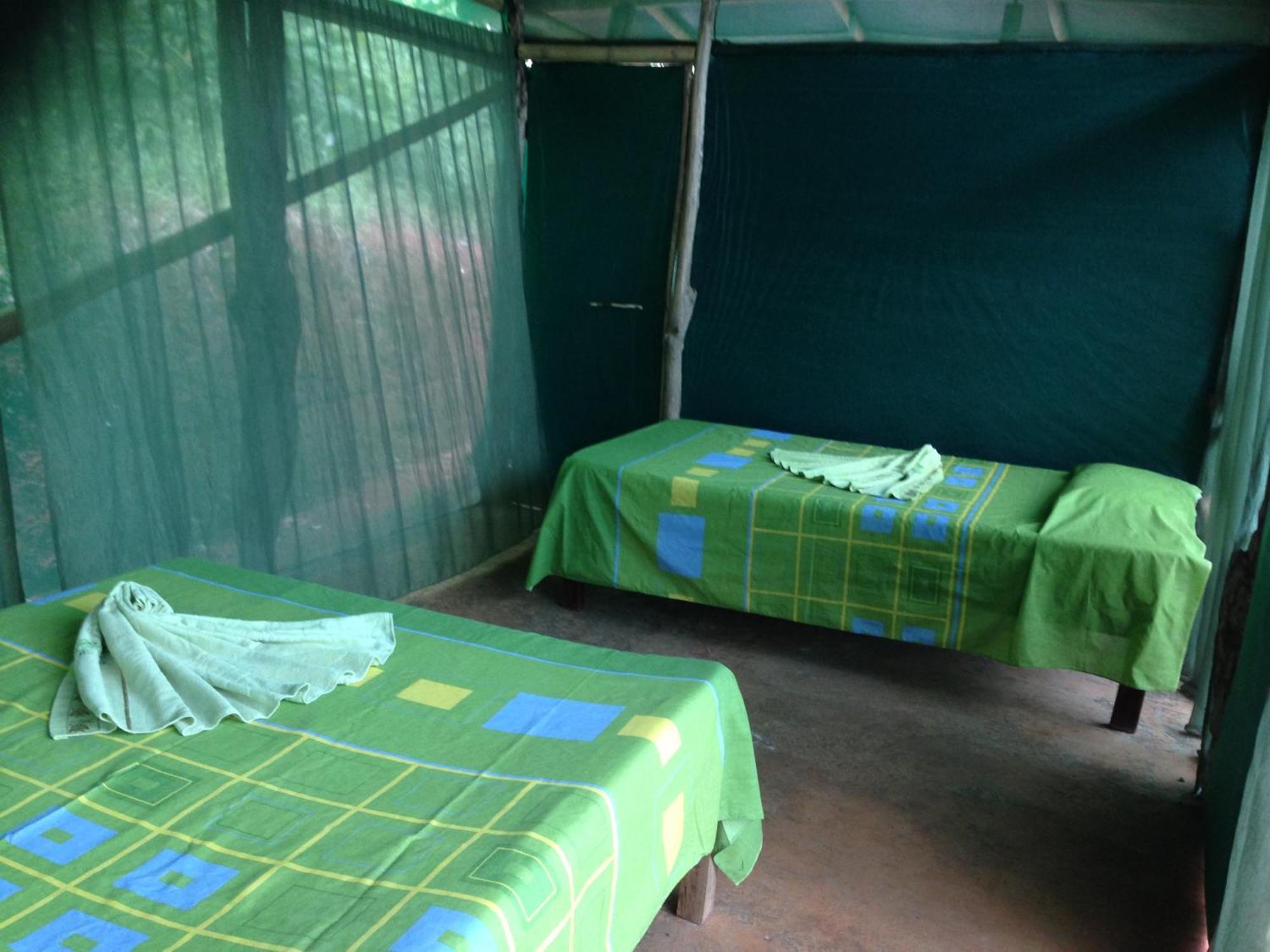 Eco-lodge Lodge *