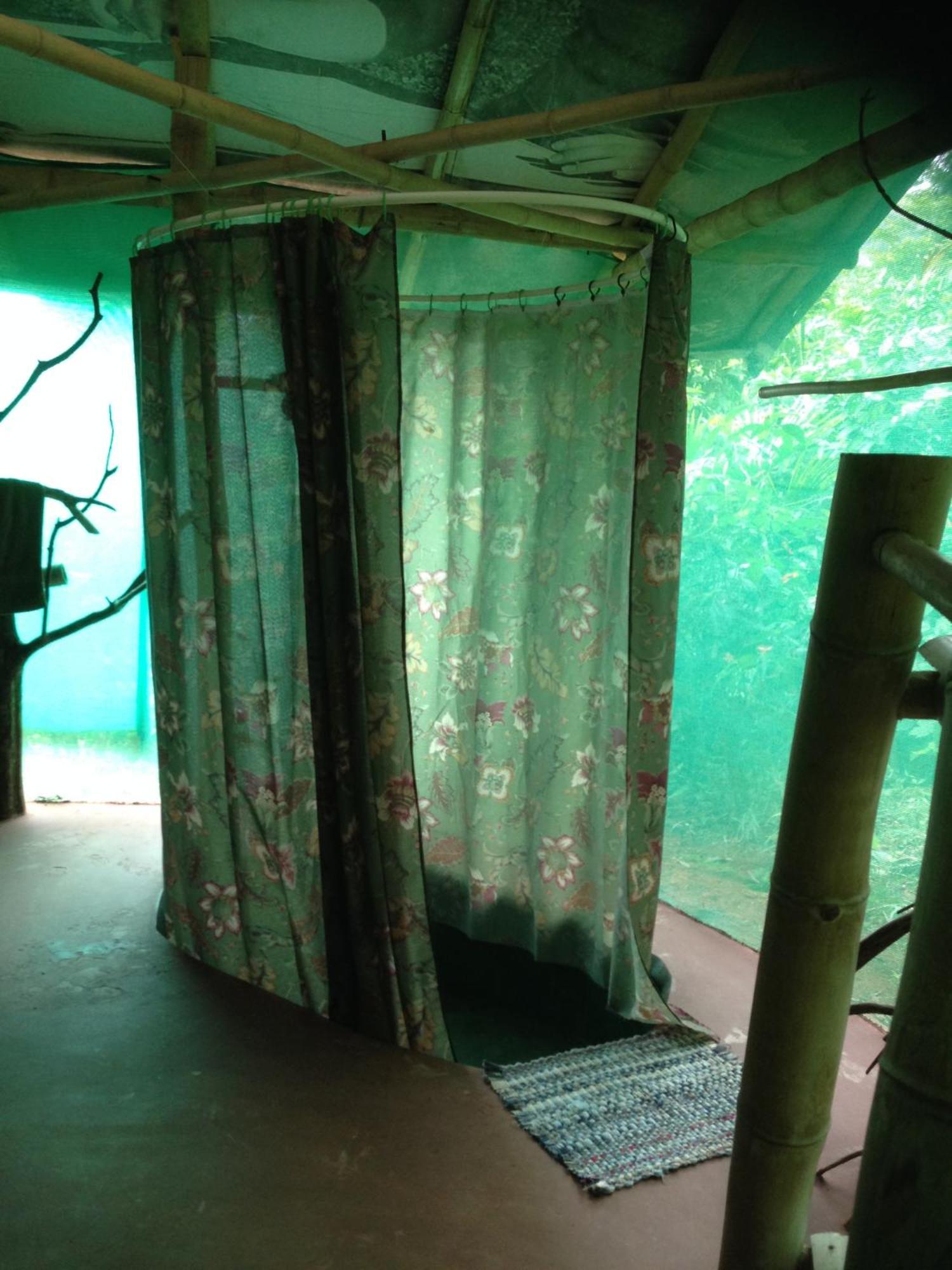 Eco-lodge Isla Violin