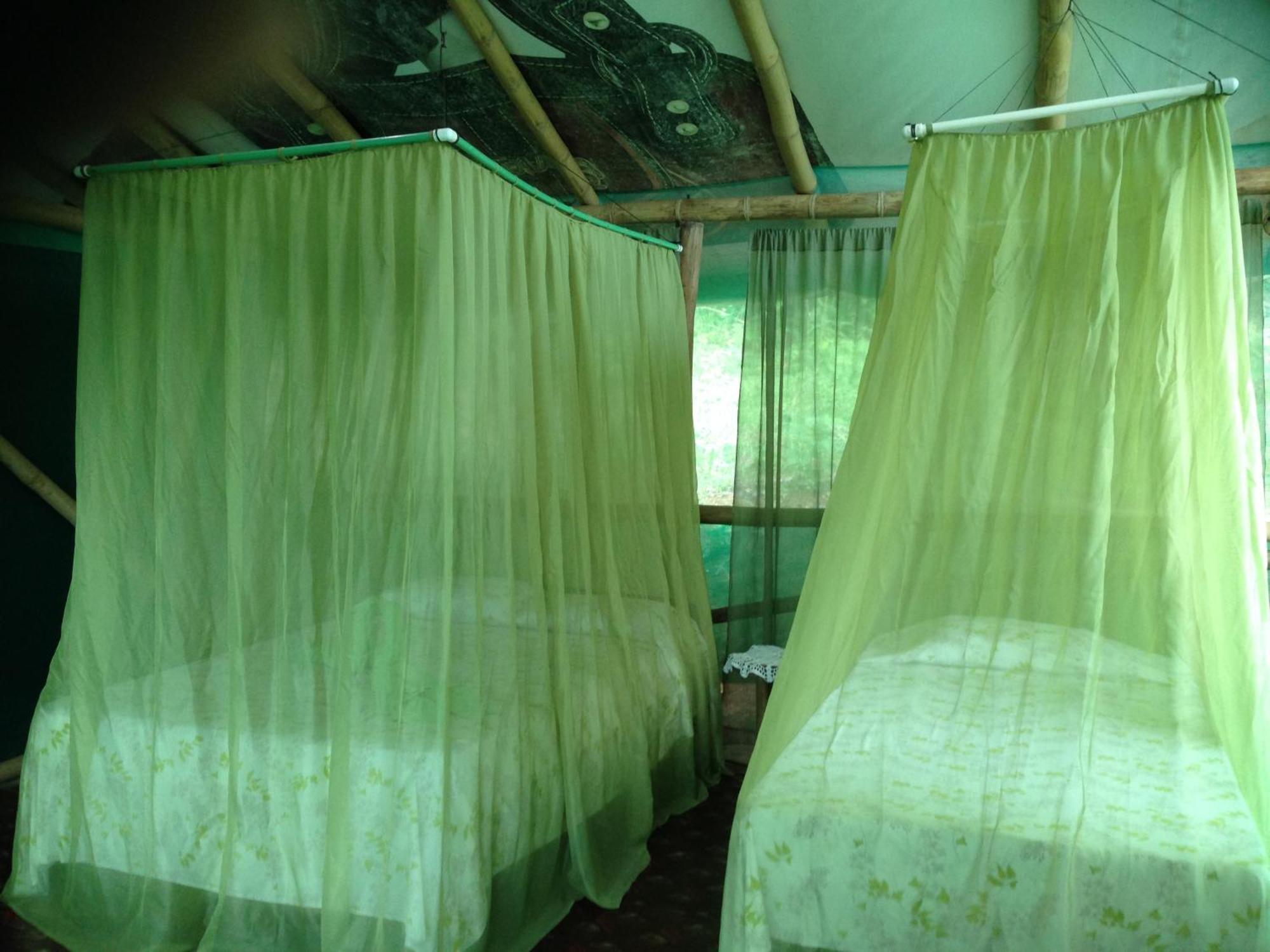 Lodge Eco-lodge